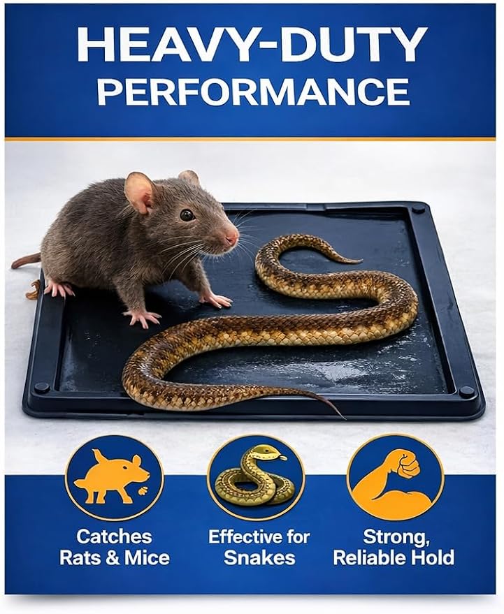 Glue Traps Indoor for Home, 12 Pack, Bulk Glue Traps for Rats, Mice, Snakes and Lizards, Non-Toxic, Adhesive Plastic Trays, Insect, & Spider, Pet Safe Pest Control