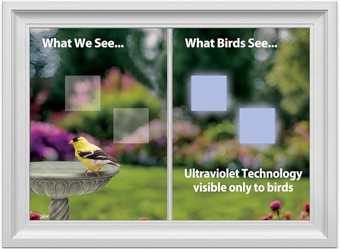 WindowAlert Classic Square Anti-Collision Decal 12 Pack - UV-Reflective Window Decal to Protect Wild Birds from Glass Collisions - Made in The USA