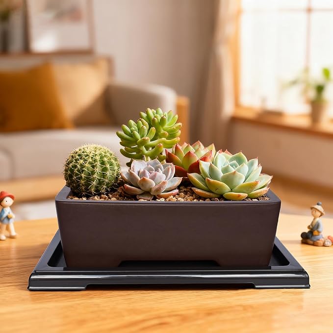 MUZHI Unglazed Zisha Bonsai Pot with Humidity Tray, Rectangle Bonsai Tree Planter with Drainage for Ficus, Succulent etc. (Classic Rectangle)