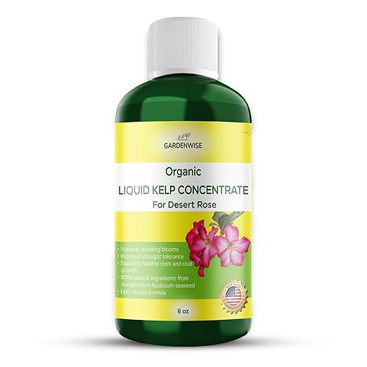 GARDENWISE Liquid Kelp Fertilizer for Desert Rose - Plant Food for Adenium & Desert Plants - Organic Seaweed Fertilizer for Robust Growth and Blooms (8 OZ)