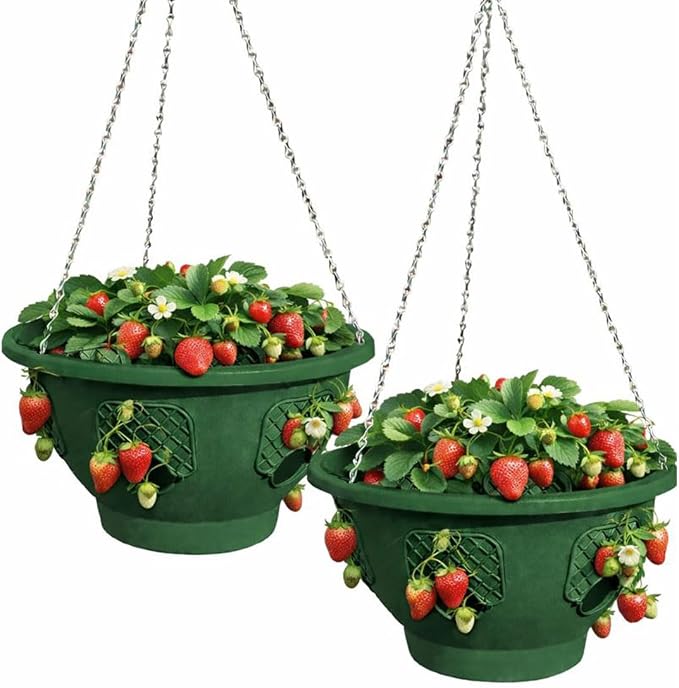 Ultimate Hanging Baskets - Strawberry, Tomato, Flower, and Herb Outdoor Planters - Use Garden Pots for Growing Plants Outside On A Deck, Fence, or Balcony (20, Deep Forest)