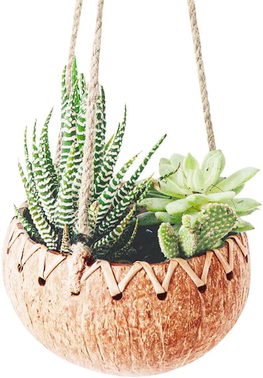 Rainforest Bowls Hanging Fiber Coconut Planter w/Drainage Hole- Perfect for Succulents, Flowers, Small Plants, Indoor & Outdoor Gardens- Handcarved by Artisans, Eco-Friendly & Sustainable