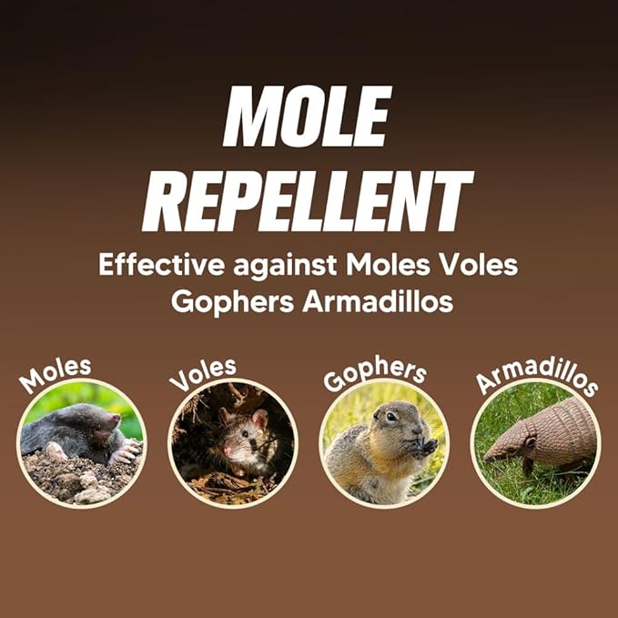 Mole Repellent for Lawns, Mole and Vole Repellent Outdoor, Gopher Repellent, Groundhog Repellent Outdoor, Armadillo Repellent, Mole Deterrent for Yard, Lasts Up to 3 Months, 8 Balls