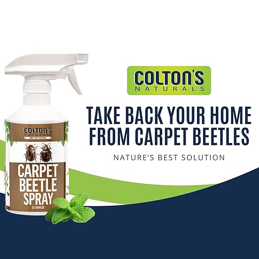 Carpet Beetle Spray – Carpet Beetle Killer for Eggs, Larvae & Adults – Indoor Home Pest Treatment for Rugs, Upholstery, Closets & Baseboards – Non-Staining, Pet & Family Safe Formula