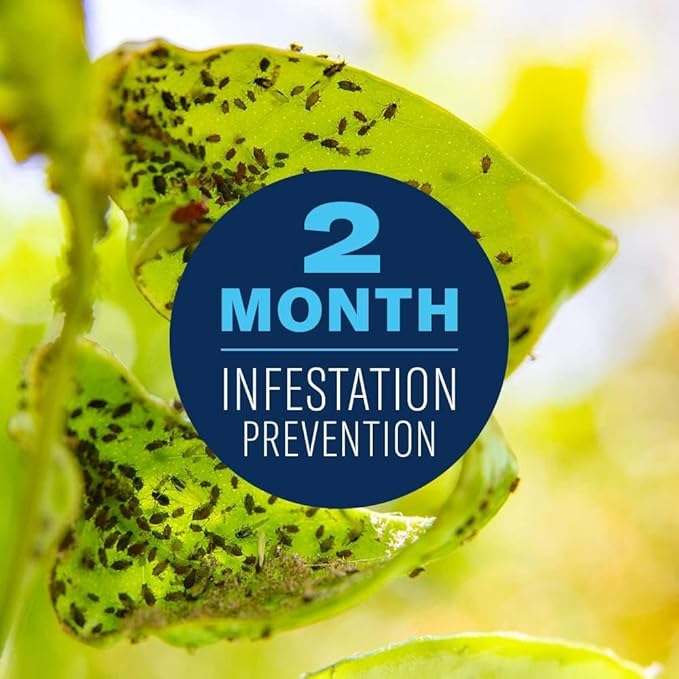 BioAdvanced Fruit & Citrus Tree Insect Control Concentrate - Pest Control for Gardens - 2 Month Infestation Prevention - Treats Up to 9 Fruit Trees - 32 oz Bottle