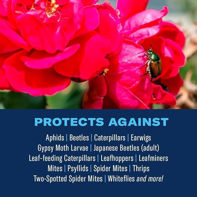 BioAdvanced 3-in-1 Insect, Disease, and Mite Control Concentrate - Insecticide, Fungicide & Miticide - Mix & Spray - Prevents Listed Pests and Diseases - Up to 30 Days Protection - 32 oz Bottle