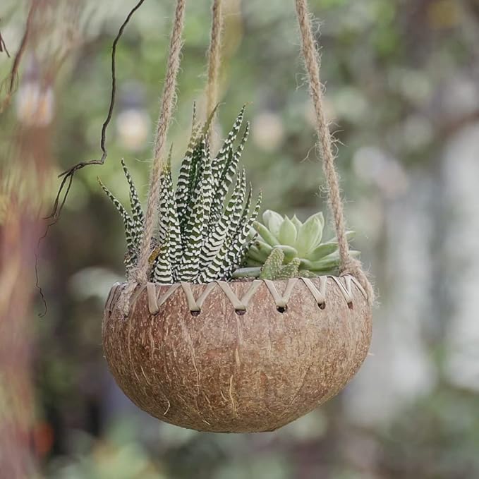 Rainforest Bowls Hanging Fiber Coconut Planter w/Drainage Hole- Perfect for Succulents, Flowers, Small Plants, Indoor & Outdoor Gardens- Handcarved by Artisans, Eco-Friendly & Sustainable