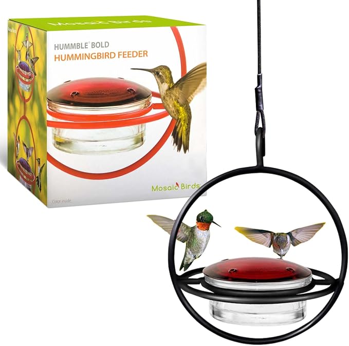 Hummingbird Feeder for Outdoors Hanging, 3.4 OZ Hummingbird Feeders, Glass Bowl with 4 Feeding Ports, Leak Proof Lid & Circular Perch, Bird Feeder (1, Black)