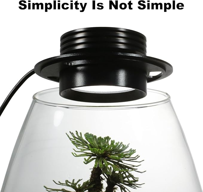 AREPK Glass Terrarium Plant Growing Lamp, for Vases Up to 4 Inches in Diameter, Light with Timer Auto On/Off, Indoor Plant Growth, Succulent, Miniature Gardening Landscape (5W 4IN)