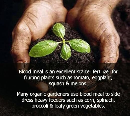 𝐁𝐄𝐒𝐓𝐒𝐄𝐋𝐋𝐄𝐑 Organic Blood Meal Fertilizer by Gardenera - 12-0-0 NPK - All-Natural Plant Food Source of Nitrogen for Organic Gardening, Flowers, Vegetables, Trees & Shrubs [16 OZ]