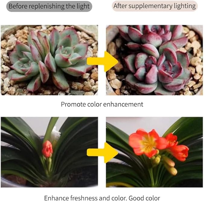 Grow Lights for Indoor Plants, Full Spectrum Panel Lamp with Timer (6H/10H/12H), Auto On/Off, 4 Dimming Levels, Slim Design for Under-Shelf or Wall Mount Use (No Adapters)
