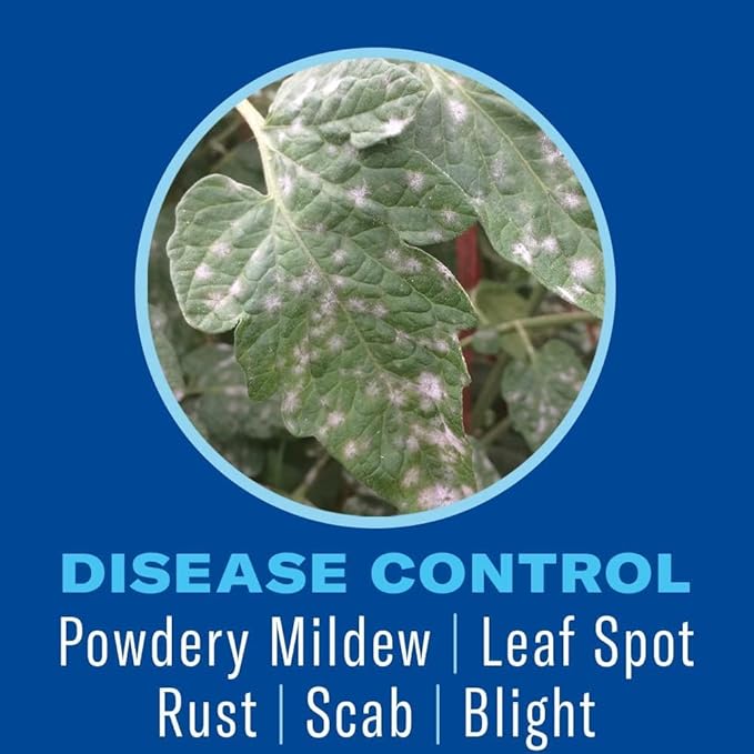BioAdvanced Houseplant Insect and Mite Control Spray - Insecticide, Fungicide & Miticide - Ready-to-Use - Houseplant Insect Control - 24 fl oz Bottle