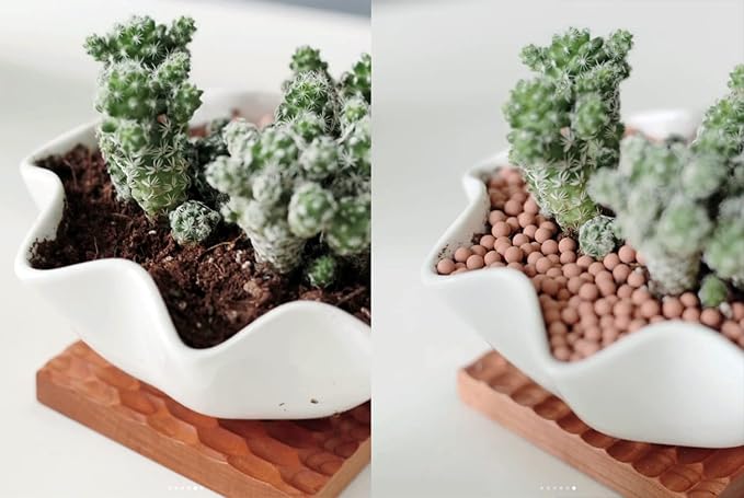 6.0 LB Clay Pebbles, 1/8'' Gardening Ceramsites Growing Media for Succulents Orchids, Aquaponics, Aquaculture Hydroponics. Ceramsite Clay Rocks Decor Cultivation, Leca for Plants