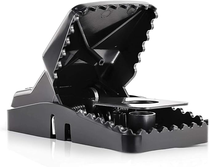eXuby Large Powerful Rat Traps - Kills Instantly with Powerful Steel Spring - Setup in Seconds - Wash & Reuse Over & Over - Hands Free Disposal - Rat Control Without Harmful Poisons (16)