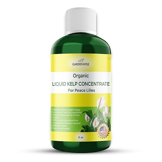 GARDENWISE Organic Premium Kelp Seaweed Fertilizer for Peace Llily - Liquid Plant Food - Nutrient-Rich Soil Enhancer - Natural Plant Food for Spathiphyllum (8 OZ)