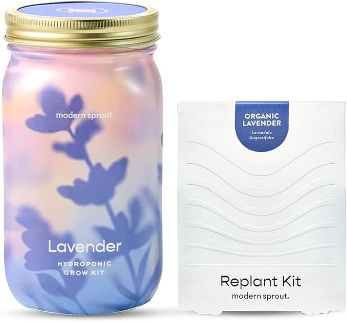 Modern Sprout Mason Garden Jar + Replant Kit - Self-Watering Hydroponics Growing System Kit w/Organic Herb Seeds - Jar Planter for Indoor Herb Garden - Seed Starter - Home Decor Gifting - Lavender