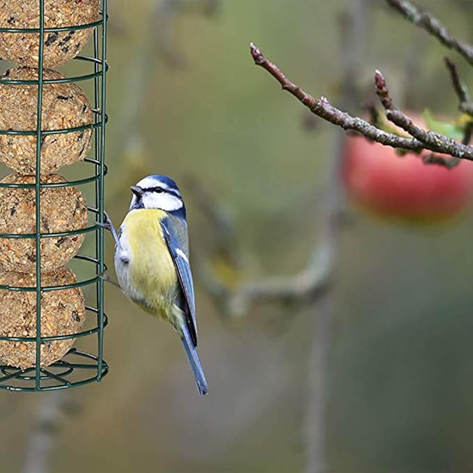 Suet Ball Bird Feeder Outdoor Hanging Metal Wire Wild Bird Feeder Fat Ball Food Feeder (2)