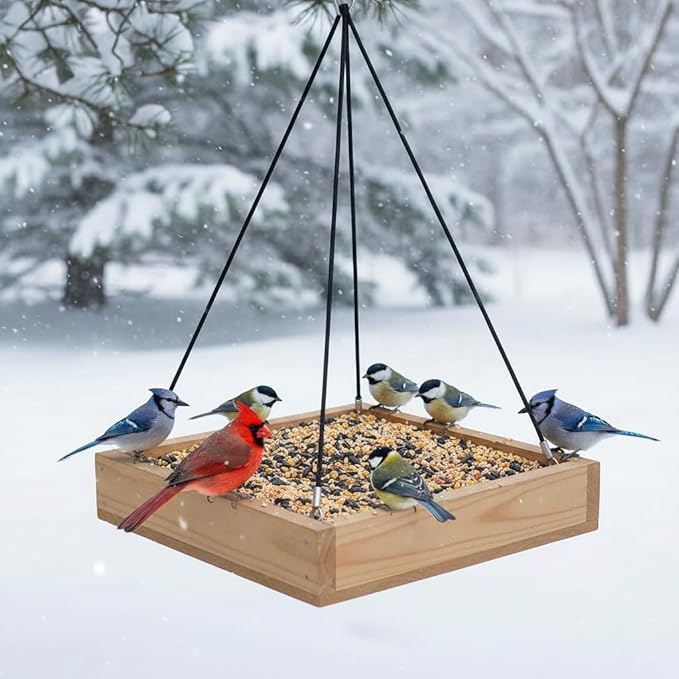 Cedar Wood Platform Tray Bird Feeder 10” - Hanging Bird Feeder for Outside Outdoor - Stainless Steel Cable Mesh Base - Weather Proof Birdfeeder for 10 Years - Longtime Outdoor Lasting Heavy Duty