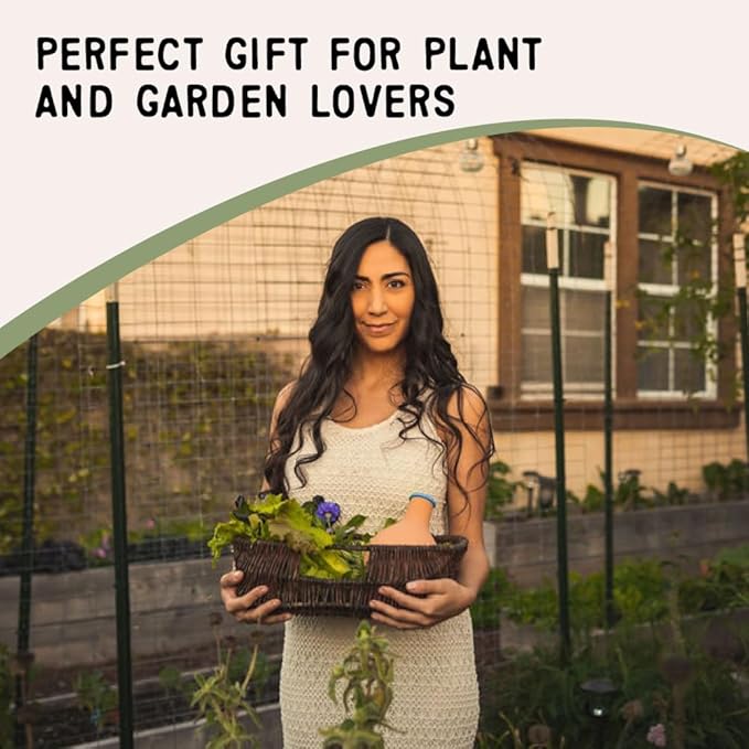 Growoya Garden OYA Large Watering Pot Plant Irrigation System Sustainable Traditional Olla Watering Smart Underground Watering Available for Garden Beds Raised Beds and Grow Bags
