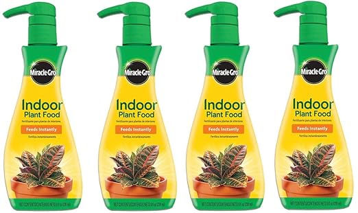 4-Pack, New Version