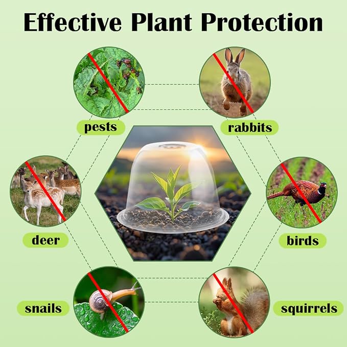 10" D × 6.7" H Plant Protectors from Animals, Garden Cloches for Seedlings Nursery Pots, Durable Humidity Domes with Ventilation Holes, Clear Plant Covers, Mini Greenhouse for Plants 5-Pack