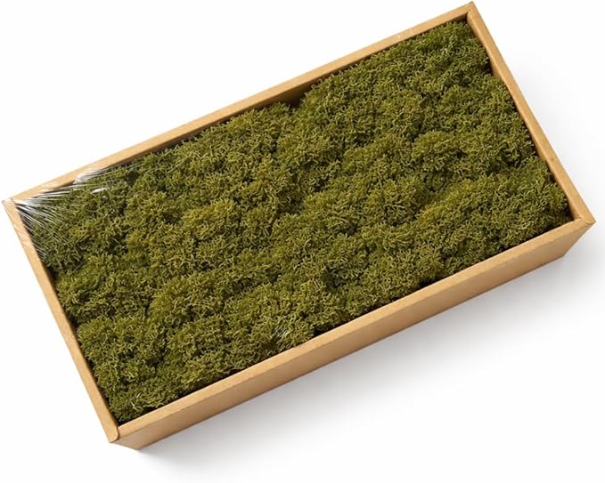 Cigarlemon Preserved Reindeer Moss, 17.64oz Natural Decorative for Home Decor, DIY Crafts, Moss Wall Art, Terrariums, Floral Arrangements, Wedding & Holiday Decorations (Olive Green)