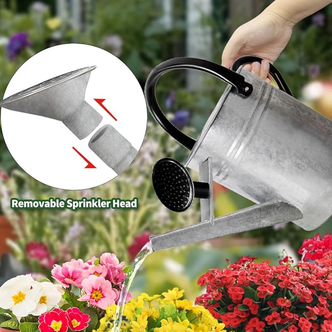 1 Gallon Metal Watering Can with Removable Spout, Nice Galvanized Steel Water Can for Indoor and Outdoor Plants (House Plants)