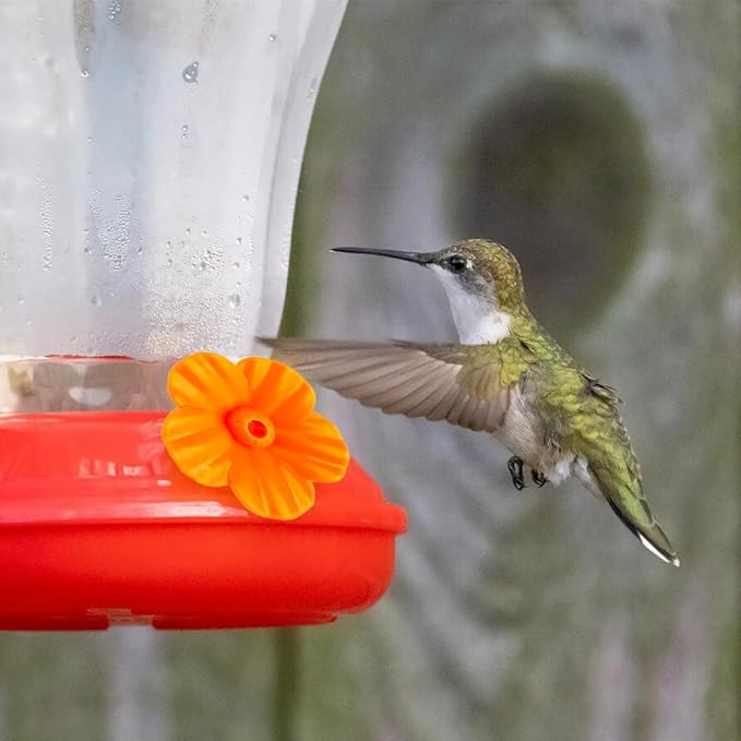 Hummingbird Feeder Replacement Parts - 16 PCS Orange Flowers, Bee Guards for Perky Pet Glass Plastic Base