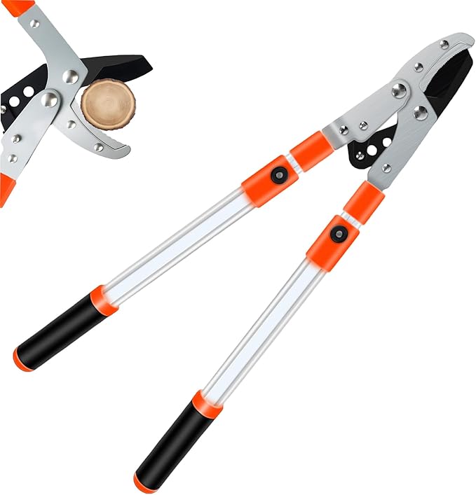 Likorlove Loppers for Tree Trimming Heavy Duty, 25-37" Extendable Loppers for Gardening Sharp Steel Branch Cutter,1.5" Cut Capacity,Shock Absorbing Handle, for Gardening and Pruning