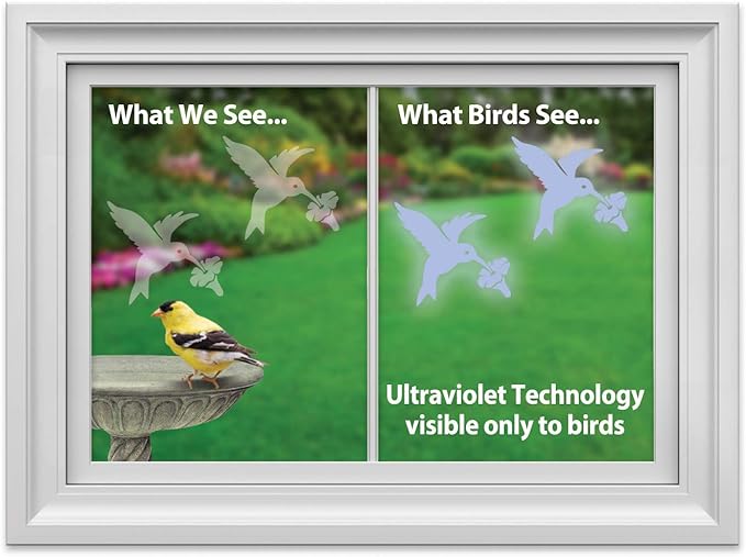 WindowAlert Hummingbird Anti-Collision Decal - UV-Reflective Window Decal to Protect Wild Birds from Glass Collisions 2-Pack - Made in The USA