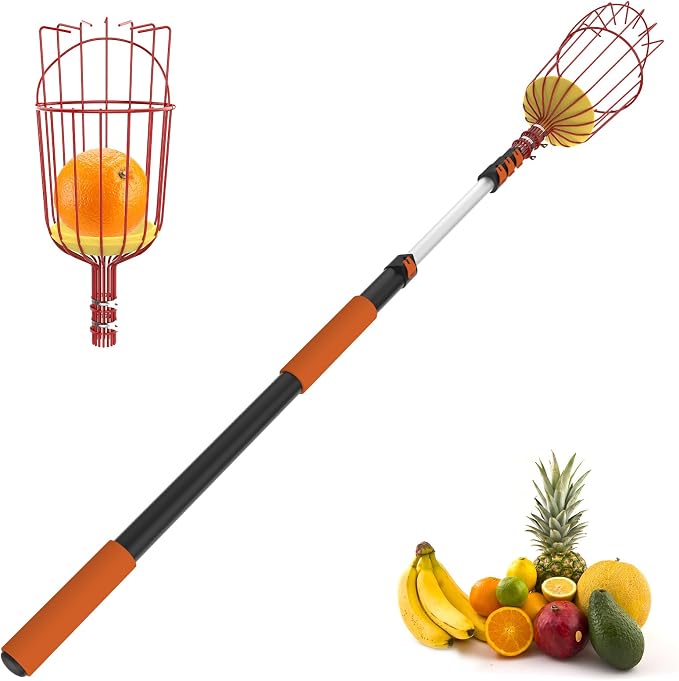 SISIUPASSIE 36FT Reach Fruit Picker, Apple Picker Pole with Basket Telescoping Tool for Apple Lemon Orange Mango Avocado Fruit Tree Picking