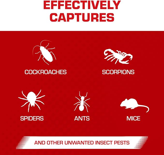 Tomcat Glue Boards with Eugenol — Enhanced Stickiness for Mice, Cockroaches & Insects, Flat or Covered Use, Ready-To-Use, 4 Traps