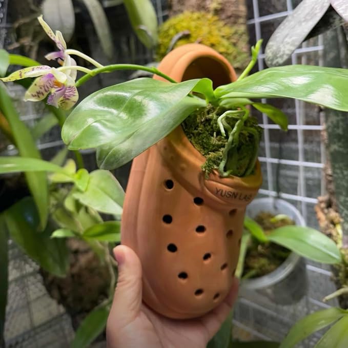 Terracotta Orchid Pot, Handmade Hanging Planter with Breathable Perforated Design, Rustic Clay Pot for Orchids, Succulents, Air Plants Mini Phalaenopsis, Unique Garden Decor