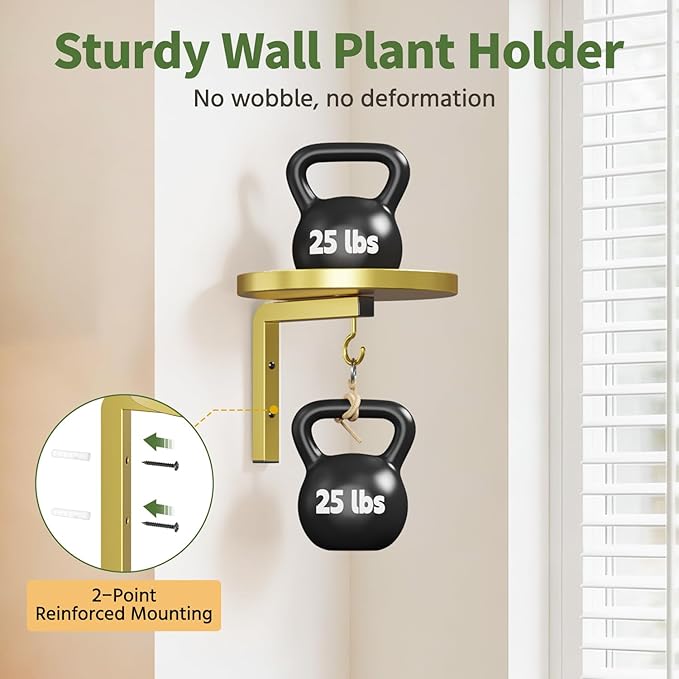 LASZOLA Plant Hangers Shelves Wall Mounted Indoor, Metal Window Plant Holders, 2Pcs Modern Floating Flower Display Stand with 2 Hooks for Outdoor Kitchen Bathroom Decor, Gold