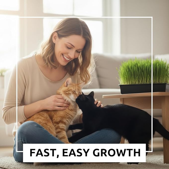 Cat Grass Seeds for Growing | 4 Way Blend, Rye, Wheat, Oats and Barley | (1/2 Pounds)