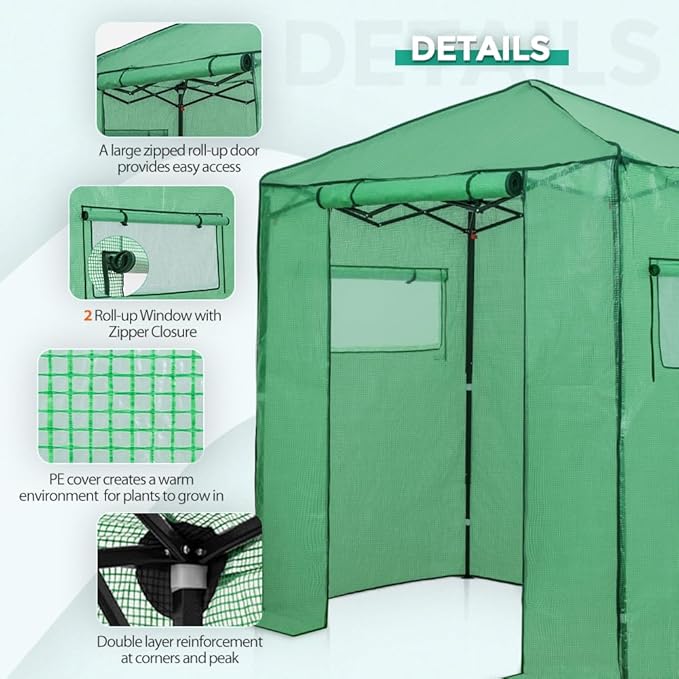 EAGLE PEAK 6x4 Portable Walk in Greenhouse, Pop Up Indoor Outdoor Greenhouse, Green House Kit with Zippered Roll-Up Doors and Windows, PE Cover, Clear/Green