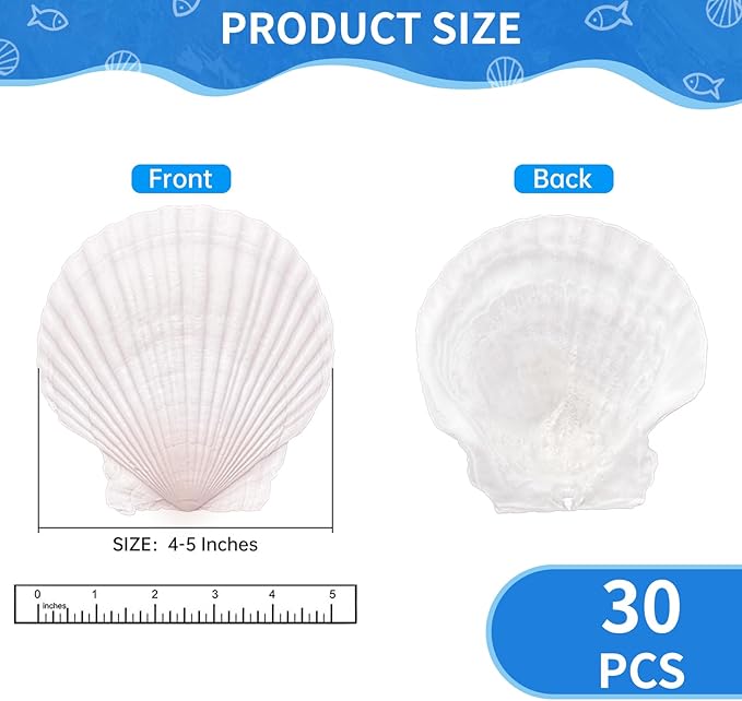 ReePlan 30PCS Large Scallop Shells for Crafts, 4-5 Inch Natural Sea Shells for Decorating, White Seashells Bulk for DIY Crafting, Painting, Baking, Ocean Themed Party Supplies & Decorations