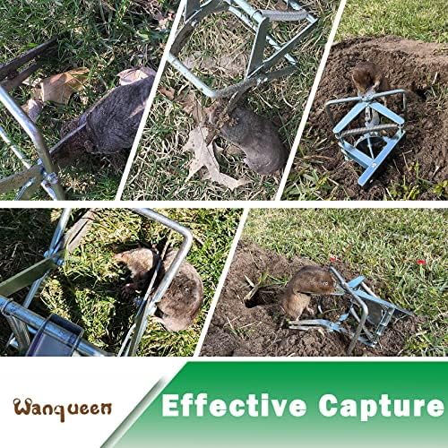 Mole Traps that Kill Best, Scissor for Lawns Vole Traps Outdoor Use, Mole Trap Easy to Set Galvanized Steel Reusable Quick Capture Gopher
