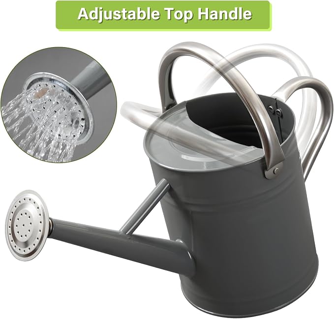 Watering Can for Outdoor&Indoor Plants，1 Gallon Metal Watering Can with with Removable Spout，Galvanized Steel Garden Flower Water Can Plant Watering Pot with 2 Handles,Grey