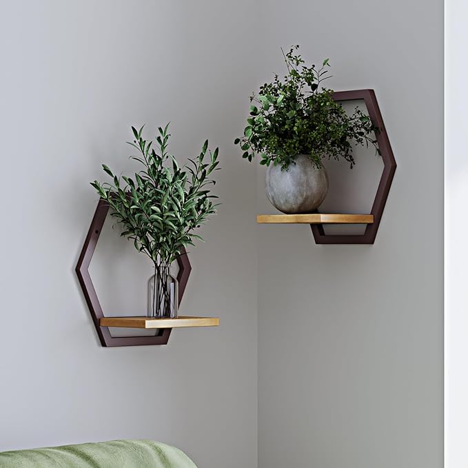 3 Packs Wall Plant Stand with Board (2 pack coffee)