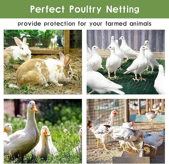 Tongmo Hardware Cloth, Chicken Wire Fencing, 19 Gauge Galvanized Wire & 1"x1" Mesh Size Welded Wire Roll Garden Fence, Poultry Netting for Rabbit/Duck/Chicken Coop (16" x 100')
