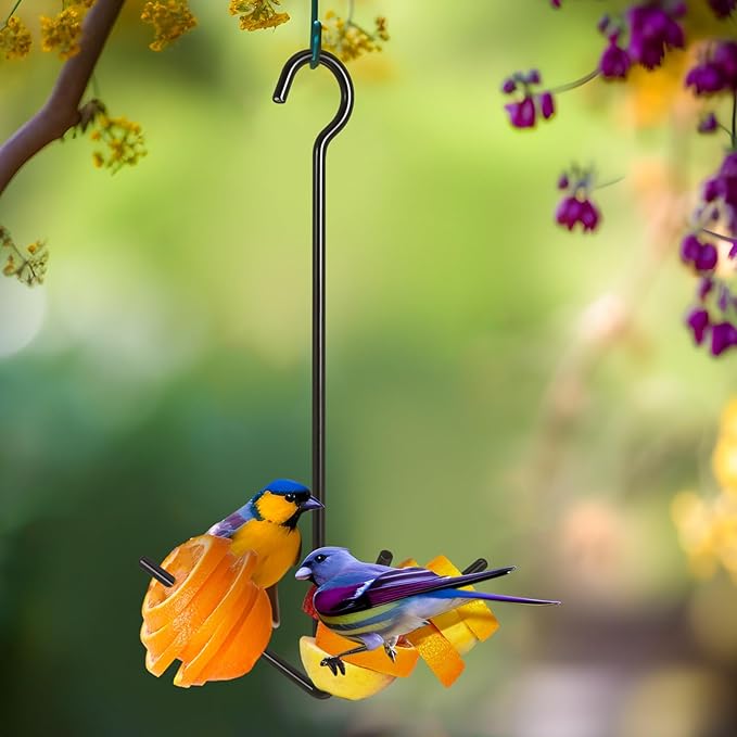 Zonon 2 Pcs Oriole Bird Feeder Hanging Orange Fruit Bird Feeder with Hook Black Fruit Holder for Outdoors Garden Patio (3 Prongs)