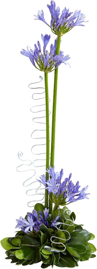 Floral Supply Online - Green Design Bowls for Flower Arrangements, Centerpieces, and Holiday Decorating. (6" Green, 12 Bowls)
