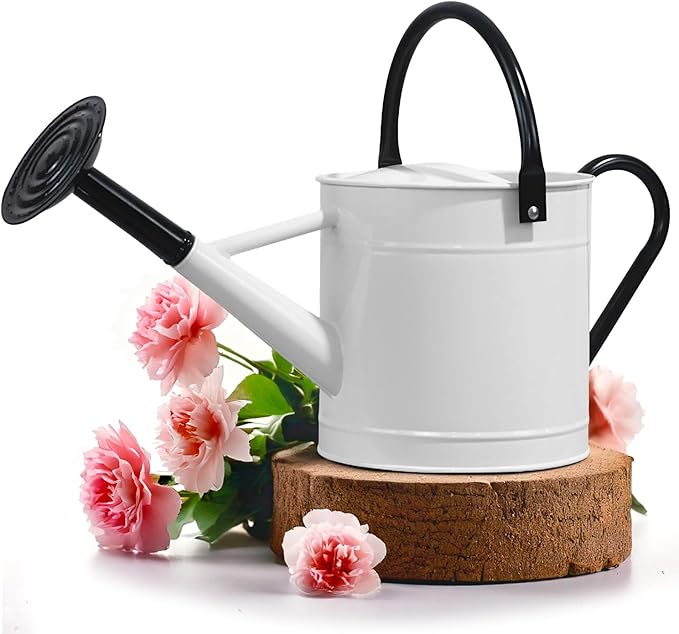 Plexon Metal Watering Can Outdoor 1 Gallon, Flower Plant Gardening Garden Large Watering Can Pot, Black Galvanized Steel Handles and Removable Spray Spout, White