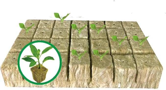 1.5” Rockwool Starter Plugs for Hydroponics, Rockwool Grow Cubes, 1 Sheets of 28 Plugs (Small)