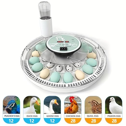 MeeF Egg Incubator for Hatching 28 Eggs, Auto Flip, Independent Atomizing Humidifier, with Duck and Goose Egg Trays (Green)