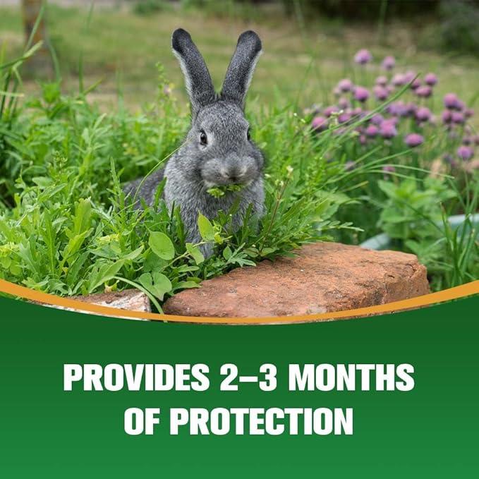 Deer Repellent for Plants, Rabbit Repellent Outdoor, Deer and Rabbit Repellent for Plants, Garden, Trees, Safe for People, Pets and Plants, Lasts Up to 60 Days - 12 Packs