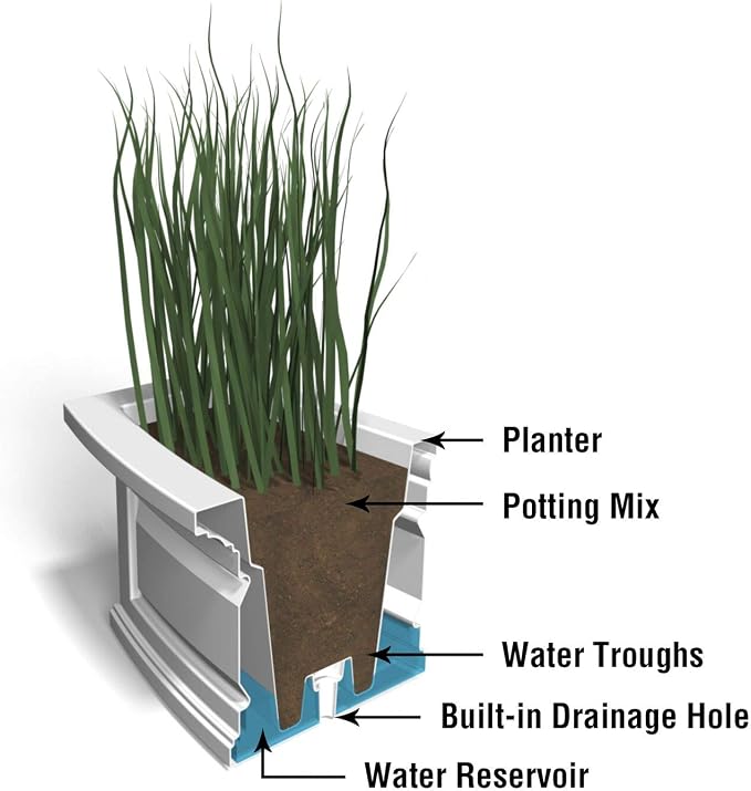 Mayne Nantucket 2-Foot Window Box – Self-Watering, Weather-Resistant Planter for Flowers – Durable Design for Outdoor Use, Perfect for Windows