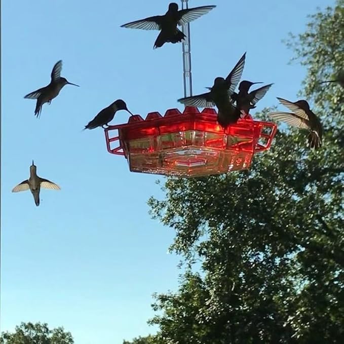 Hummingbird Feeders for Outdoors Hanging, 10 oz Wild Bird Feeder with 30 Feeding Ports, Hummingbird Feeder and Built-in Ant Moat, Easy to Clean and Refill