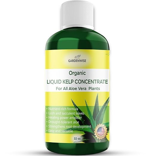 GARDENWISE Organic Premium Kelp Seaweed Fertilizer - Liquid Hydroponics Fertilizer - Liquid Plant Food - Nutrient-Rich Soil Enhancer - Natural Plant Food for Aloe Vera (32 OZ)